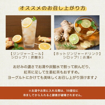 【ふるさと納税】発酵ジンジャーシロップ&生米麹A5-15【配送不可地域：離島】【1482023】 サムネイル2