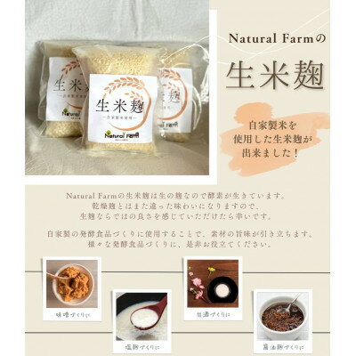 【ふるさと納税】発酵ジンジャーシロップ&生米麹A5-15【配送不可地域：離島】【1482023】 サムネイル3