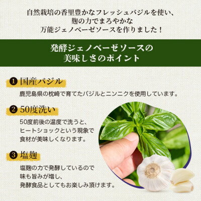 【ふるさと納税】発酵ジェノベーゼソース×発酵ジンジャーシロップA5-14【配送不可地域：離島】【1482046】 - 画像2