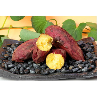 本場鹿児島さつまいも【シルクスイート】4kg　2025年10月より発送Z0-13【配送不可地域：離島】【1487869】