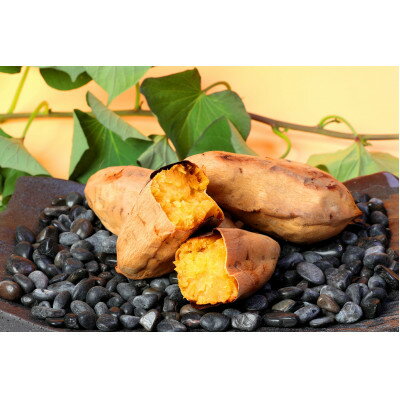 本場鹿児島さつまいも 【白安納】4kg　2025年10月上旬より発Z0-14【配送不可地域：離島】【1487870】