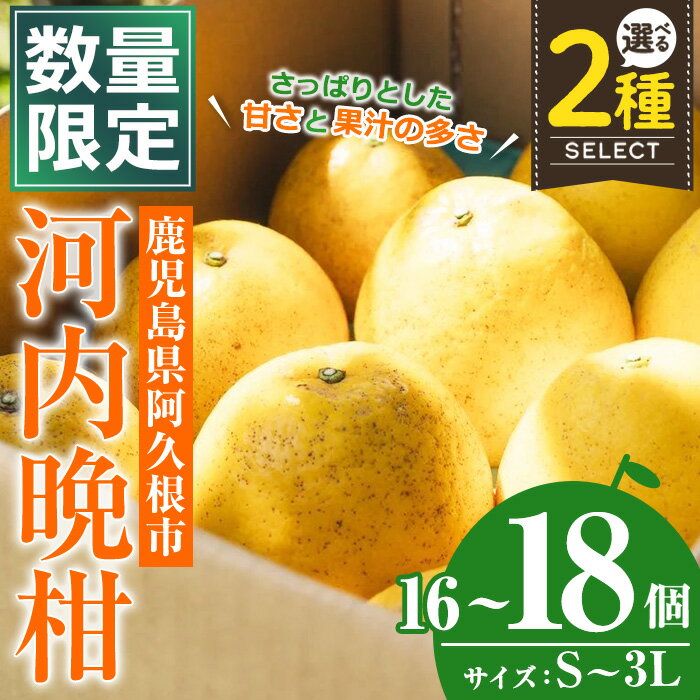 ＜先行予約受付中！2026年3月中旬以降順次発送予定＞＜サイズ・容量が選べる！＞数量限定！河内晩柑(S〜3L、16〜18個) 柑橘 フルーツ 果物 国産 みかん 期間限定【株式会社イロドリ】