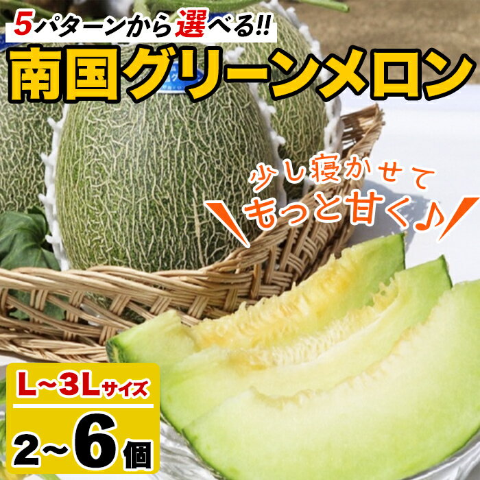 ＼高評価★4.9獲得！／＜先行予約受付中！2026年6月以降順次発送予定＞＜内容量が選べる！＞鹿児島県産！南国グリーンメロン(L〜3Lサイズ・2〜6個) メロン めろん 果物 スイーツ デザート フルーツ【あくね旬の店いきいき館】