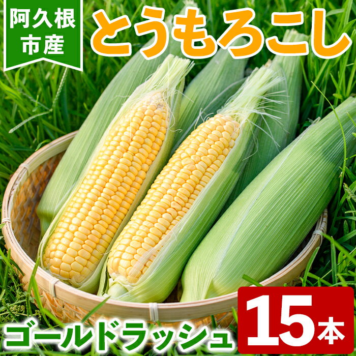 ＜先行予約受付中！2026年5月下旬以降順次発送予定＞とうもろこし ゴールドラッシュ(15本) 国産 旬 野菜 青果 トウモロコシ 期間限定【笹原正樹】akn094-01