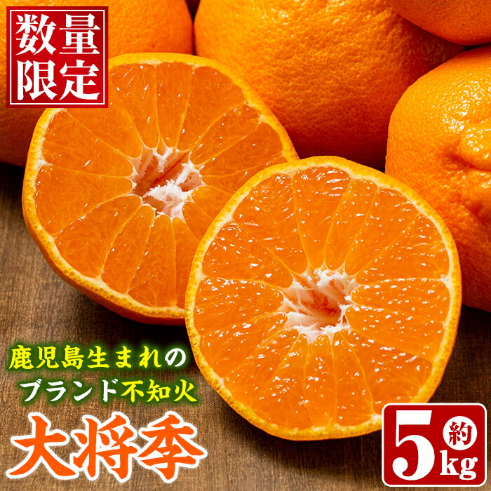 ＼高評価★4.62獲得！／＜先行予約受付中！2026年1月以降順次発送予定＞数量限定！鹿児島で生まれたオリジナル品種「大将季」(約5kg・15〜24玉) 果物 フルーツ 柑橘 果実 ハウス栽培 ギフト【鹿児島いずみ農業協同組合】akn018-22