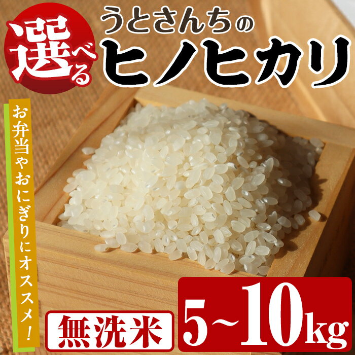 ＜内容量が選べる！＞ 無洗米 ヒノヒカリ (5～10kg) 国産 米 お米 コメ 白米 ひのひかり ごはん ご飯 お弁当 おにぎり【うとさんち】