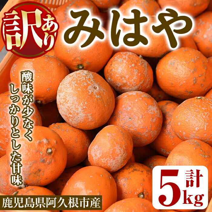＜先行予約受付中！2025年12月以降順次発送予定＞＜数量限定・訳あり＞みはや(約5kg) 国産 鹿児島県 阿久根市 果実 果物 フルーツ 柑橘 みかん ミカン デザート 酸味 甘味 期間限定 数量限定【桐野柑橘株式会社】akn070-01