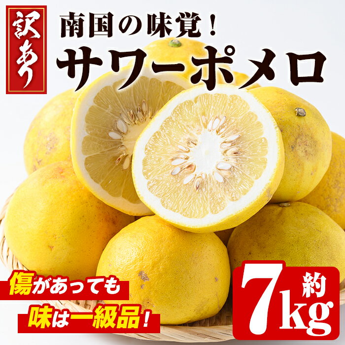 ＜先行予約受付中！2026年2月下旬以降発送予定＞＜訳あり・傷あり＞数量限定！サワーポメロ(約7kg) 国産 フルーツ 果物 柑橘類 サワーポメロ 甘味 酸味 デザート おやつ 訳あり【なかむら果樹園】akn014-01