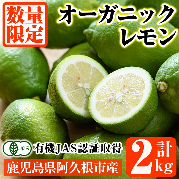 数量限定！有機JAS オーガニックレモン(計2kg) 国産 レモン 檸檬 果実 果物 フルーツ 柑橘 デザート 期間限定 有機栽培 健康志向【中村農場】akn084-03