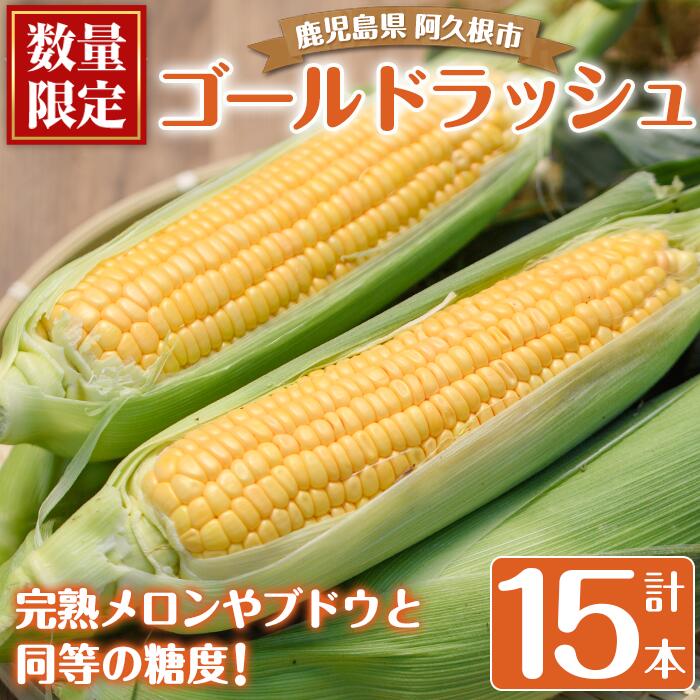 ＜先行予約受付中！2026年5月下旬以降順次発送予定＞厳選摘果！とうもろこし(15本・品種・ゴールドラッシュ)国産 旬 野菜 青果 トウモロコシ 厳選 高糖度 冷蔵 期間限定 数量限定【春田幸一】akn082-01