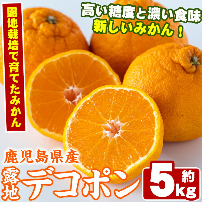 ＜先行予約受付中！2026年3月以降順次発送予定＞鹿児島県産！露地デコポン(約5kg・15〜24玉)果物 冬 春 柑橘 みかん 蜜柑 フルーツ 期間限定 数量限定【鹿児島いずみ農業協同組合】akn018-10