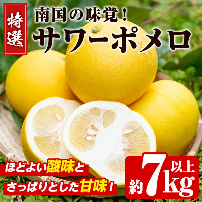 数量限定！特選サワーポメロ(正味約7.0kg〜7.5kg・ L〜3Lサイズ13〜18個)国産 フルーツ 果物 柑橘類 サワーポメロ 甘味 酸味 デザート おやつ【なかむら果樹園】akn014-02