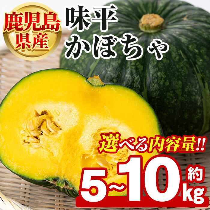 ＜先行予約受付中！2026年5月上旬以降順次発送予定＞＜内容量が選べる！＞鹿児島県産 味平かぼちゃ(約5〜10kg) 国産 野菜 かぼちゃ カボチャ 南瓜 煮物 天ぷら バーベキュー BBQ スイーツ お菓子【松永青果】