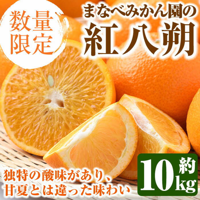 ＜先行予約受付中！2026年2月上旬以降順次発送予定＞まなべみかん園の紅八朔(約10kg) 国産 鹿児島県産 阿久根市産 柑橘類 みかん ミカン 蜜柑 果物 フルーツ べにはっさく 期間限定 数量限定 贈答用 ギフト デザート【有限会社まなべみかん園】akn034-05