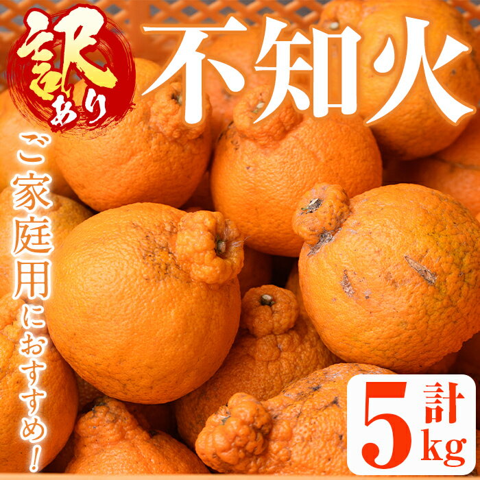 ＜先行予約受付中！2026年1月上旬以降順次発送＞＜訳あり・不揃いの為＞数量限定！無加温ハウス不知火(5kg) 国産 鹿児島県 阿久根市 果実果物 フルーツ 柑橘 みかん ミカン 期間限定 数量限定【桐野柑橘株式会社】akn070-12