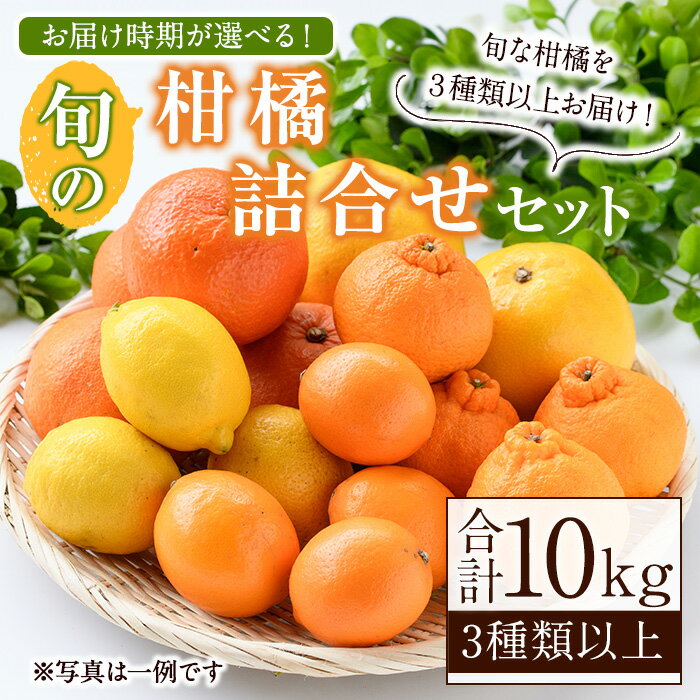 ＜先行予約受付中！発送月が選べる！＞旬の柑橘詰合せセット (約10kg) 国産 鹿児島県 阿久根市 果実 果物 フルーツ 柑橘 みかん ミカン 旬 詰め合わせ セット【桐野柑橘株式会社】akn070-16