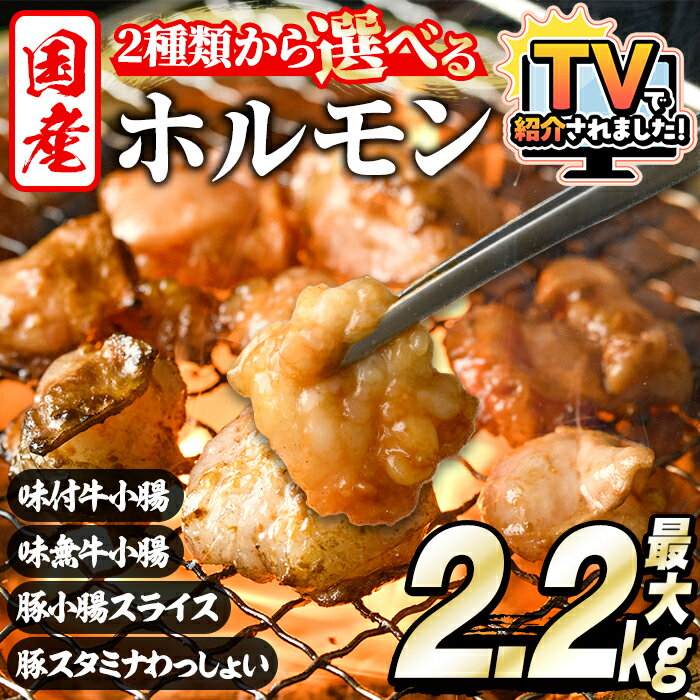 ＼テレビで紹介されました！高評価★4.90獲得！／＜選べる2種＞ホルモン(牛×豚ホルモン4種 合計2.2kg/牛ホルモン2種 合計2kg) 大容量 国産 小腸 味付 パック 詰め合わせ 鍋 モツ おかず 小分け 個包装 焼肉【スターゼン】
