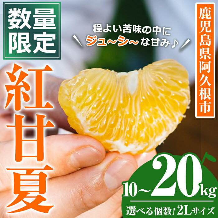 ＜先行予約受付中！2026年3月中旬以降順次発送予定＞＜内容量が選べる！＞数量限定！鹿児島県産 紅甘夏 (10～20kg・2L) 柑橘 フルーツ 果物 国産 みかん 期間限定 数量限定 ベニアマナツ ミカン 旬 【株式会社イロドリ】