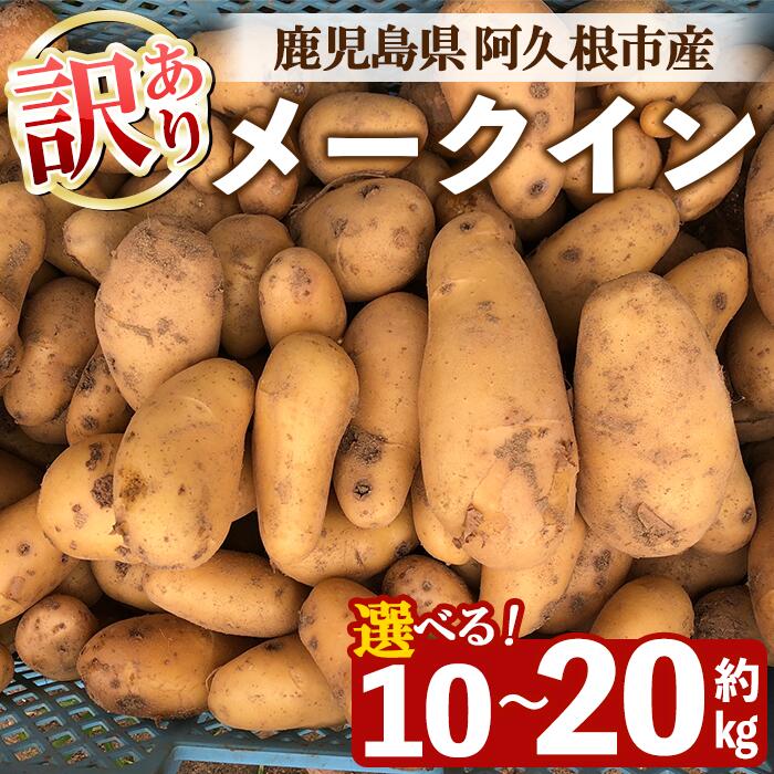 ＜先行予約受付中！2026年6月以降順次発送予定＞＜内容量が選べる！＞訳あり！じゃがいも メークイン(10〜20kg) 国産 鹿児島県産 じゃがいも ジャガイモ 芋 ポテト 訳アリ 野菜 期間限定 数量限定 スープ カレー シチュー 常温 常温配送【慶越農園】