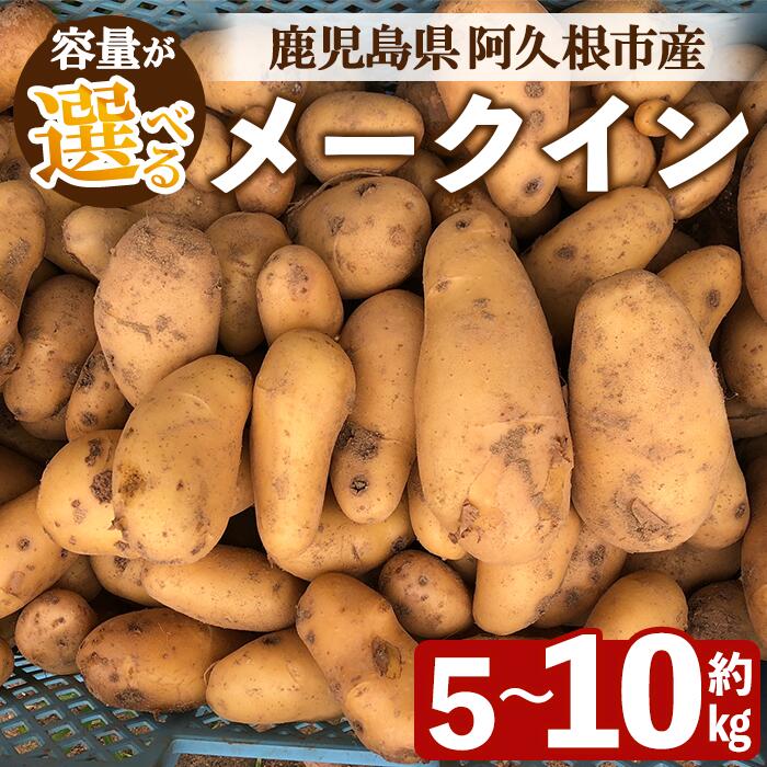 ＜先行予約受付中！2026年6月以降順次発送予定＞＜内容量が選べる！＞じゃがいも メークイン(5〜10kg) 国産 鹿児島県産 阿久根市産 じゃがいも ジャガイモ 芋 ポテト 野菜 期間限定 数量限定 スープ カレー シチュー 常温 常温配送【慶越農園】