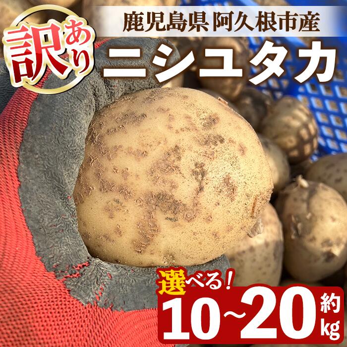 ＜先行予約受付中！2026年6月以降順次発送予定＞＜内容量が選べる！＞訳あり！じゃがいも ニシユタカ(10〜20kg) 国産 鹿児島県産 阿久根市産 じゃがいも ジャガイモ 芋 ポテト にしゆたか 訳アリ 野菜 ポテトサラダ コロッケ 常温 常温配送【慶越農園】
