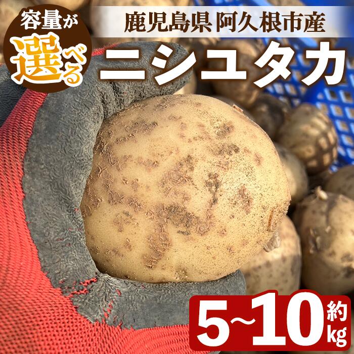 ＜先行予約受付中！2026年6月以降順次発送予定＞＜内容量が選べる！＞じゃがいも ニシユタカ(5〜10kg) 国産 鹿児島県産 阿久根市産 じゃがいも ジャガイモ 芋 ポテト にしゆたか 野菜 期間限定 数量限定 ポテトサラダ コロッケ 常温 常温配送【慶越農園】