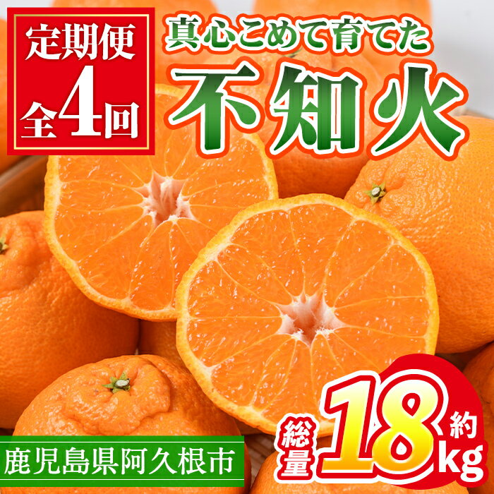＜定期便・全4回(12月・1月・2月・3月)＞鹿児島県産不知火ざんまい(総量約18kg) 国産 果物 フルーツ 柑橘 旬 しらぬい 定期便 頒布会 シラヌイ 数量限定 期間限定 阿久根市産【三笠農業生産】akn051-15
