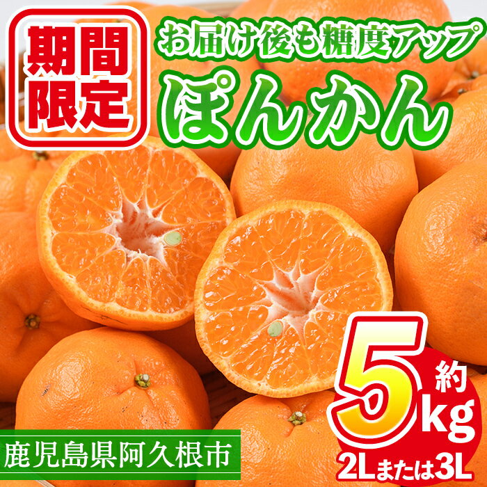 ＜先行予約受付中！2025年12月下旬以降順次発送予定＞数量限定！鹿児島県産 手詰めぽんかん(計約5kg・2L or 3L) 旬 フルーツ 果物 くだもの ポンカン 早生系統 デザート ノーワックス 阿久根市産 期間限定 数量限定 手詰 手作業【三笠農業生産】akn051-01