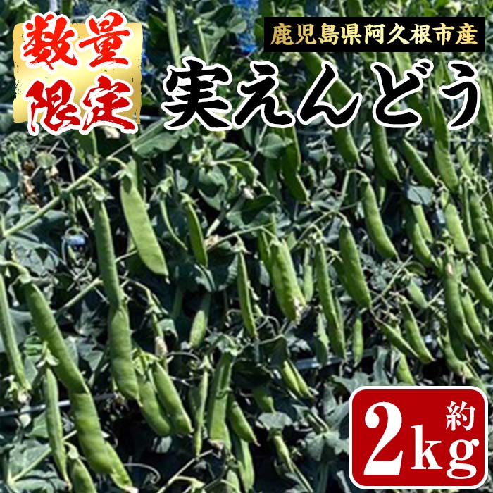 ＜先行予約受付中！2026年4月上旬以降順次発送予定＞鹿児島県産！阿久根市の実えんどう(2kg) 旬 国産 豆 マメ 野菜 実エンドウ セット 詰め合わせ 数量限定 期間限定【黒坂青果】akn049-05