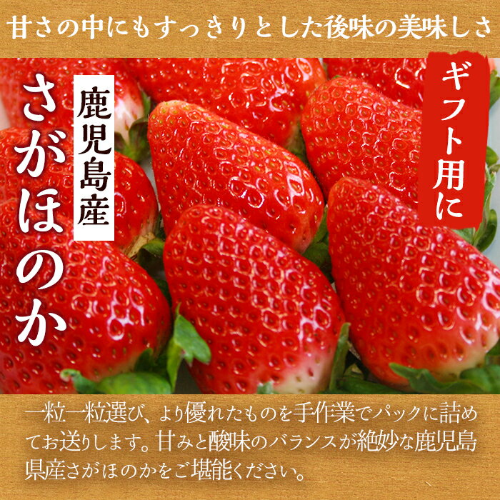 【ふるさと納税】＜先行予約受付中！2026年1月中旬以降順次発送予定＞鹿児島県産いちご(さがほのか「秀大」・計約1.4kg・40粒×2箱) 鹿児島 阿久根 果物 フルーツ イチゴ いちご 苺 さがほのか デザート おやつ 期間限定【鹿児島いずみ農業協同組合】akn018-21 サムネイル2