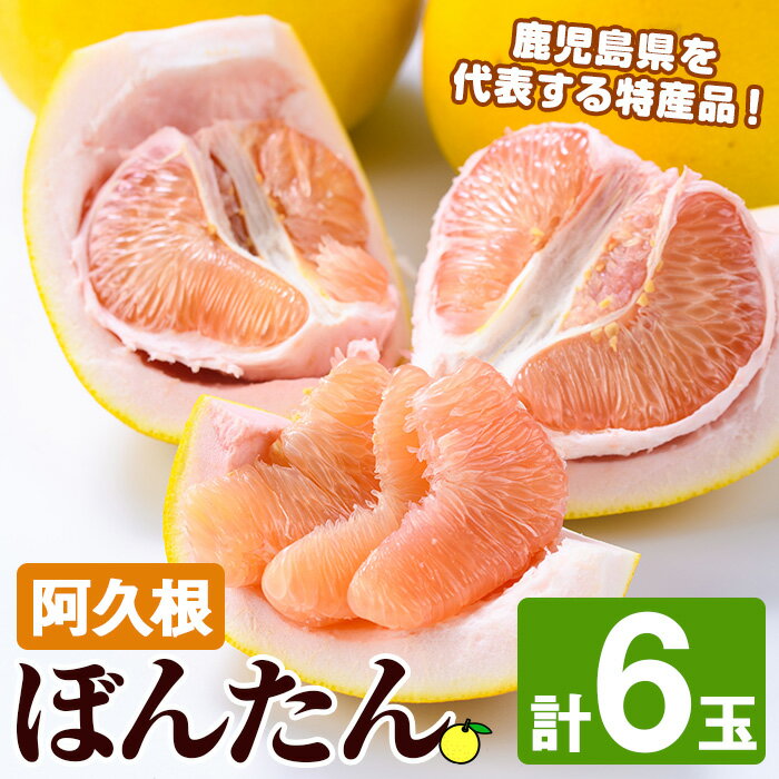 ＜先行予約受付中！2025年12月中旬以降順次発送予定＞阿久根ぼんたん(Lサイズ・6玉入) 阿久根市 ボンタン 文旦 柑橘 果物 フルーツ 新鮮 旬 特産品 鹿児島県 九州産 国産 期間限定【泰平食品】akn007-03