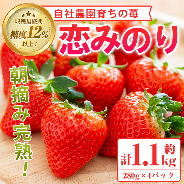 ＜先行予約受付中！2026年1月以降順次発送予定＞農園ガーデン空産いちご 恋みのりセット(計1.1kg・280g×4P)国産 イチゴ 苺 フルーツ 果物 大玉 大粒【農園ガーデン空】akn026-02