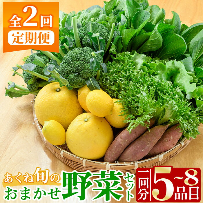 ＜定期便・全2回(6月・11月)＞あくね旬の野菜おまかせセット(5〜8品目)小松菜、レタス、青梗菜の3品目とその他野菜2品目以上を詰め合わせて全2回お届け！【合同会社グッドフィールド】akn056-19