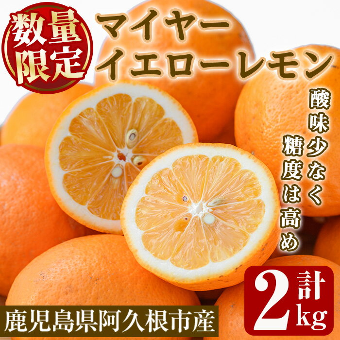 ＜先行予約受付中！2025年12月中旬以降順次発送予定＞数量限定！露地マイヤーイエローレモン(2kg) 国産 果実 果物 レモン イエローレモン フルーツ 檸檬 柑橘 デザート 期間限定【桐野柑橘株式会社】akn070-10