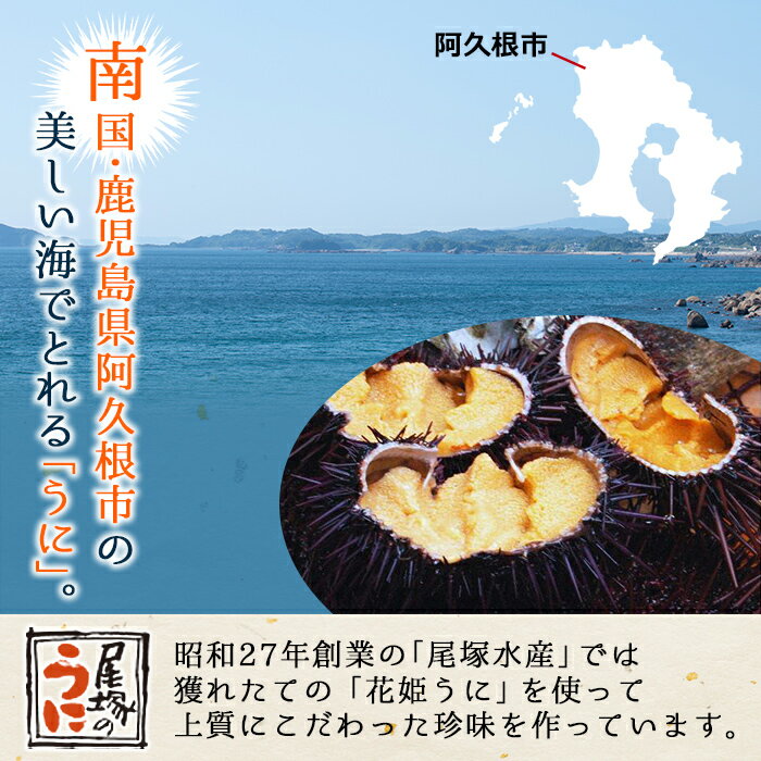【ふるさと納税】＼高評価★4.41獲得！／＜内容量が選べる！＞鹿児島県産うに使用！うに醤(魚醤)とうにみそで贅沢うにぎりセット(2瓶or4瓶) 国産 無添加 防腐剤不使用 ウニ 雲丹 魚介 魚貝 海産物 水産加工品 詰め合わせ 瓶詰【尾塚水産】 サムネイル3
