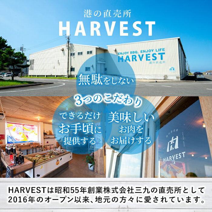 【ふるさと納税】＼高評価★4.58獲得！／＜選べる配送回数＞豚肉詰め合わせ(計2〜12kg・1パック250g) 国産 九州産 小分け 個包装 真空パック 定期便 鍋 冷凍配送 ぶた肉 ポーク セット 詰め合わせ ロースしゃぶしゃぶ 肩ロース生姜焼き【三九】 サムネイル3