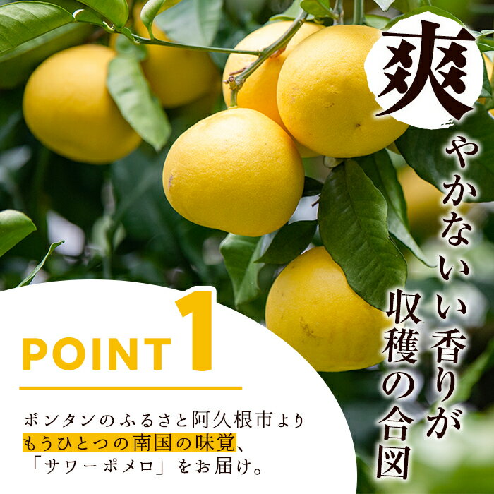 【ふるさと納税】＜先行予約受付中！2026年2月下旬以降発送予定＞＜訳あり・傷あり＞数量限定！サワーポメロ(約7kg) 国産 フルーツ 果物 柑橘類 サワーポメロ 甘味 酸味 デザート おやつ 訳あり【なかむら果樹園】akn014-01 サムネイル2