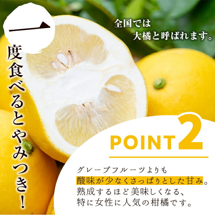 【ふるさと納税】＜先行予約受付中！2026年2月下旬以降発送予定＞＜訳あり・傷あり＞数量限定！サワーポメロ(約7kg) 国産 フルーツ 果物 柑橘類 サワーポメロ 甘味 酸味 デザート おやつ 訳あり【なかむら果樹園】akn014-01 サムネイル3
