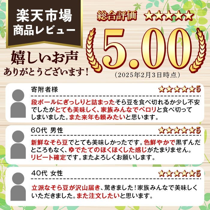【ふるさと納税】＜先行予約受付中！2026年4月下旬以降順次発送予定＞訳あり！鹿児島県阿久根市産そら豆(4kg) 野菜 旬 春野菜 訳アリ 国産 鹿児島県産 阿久根市産 そら豆 ソラマメ おつまみ【黒坂青果】akn049-03 - 画像2