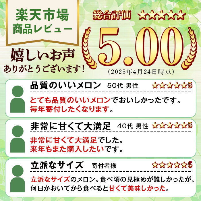 【ふるさと納税】＜先行予約受付中！2026年6月中旬以降順次発送予定＞数量限定！鹿児島県産南国グリーンメロン(2Lサイズ×2個) メロン フルーツ 果物 鹿児島 国産 青肉 ハウス ハウス栽培 期間限定 2L【東新グリーンファーム合同会社】akn062-08 - 画像2