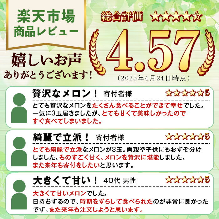 【ふるさと納税】＜先行予約受付中！2026年6月中旬以降順次発送予定＞数量限定！鹿児島県産南国グリーンメロン(LAサイズ×3個) メロン フルーツ 果物 鹿児島 国産 青肉 期間限定 LA【東新グリーンファーム合同会社】akn062-09 - 画像2