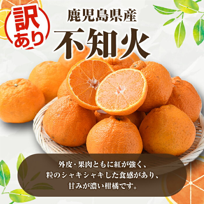 【ふるさと納税】＜先行予約受付中！2026年2月以降順次発送予定＞訳あり不知火(約4kg) 国産 鹿児島県産 果物 フルーツ 柑橘 不知火【松永青果】akn053-17 サムネイル2