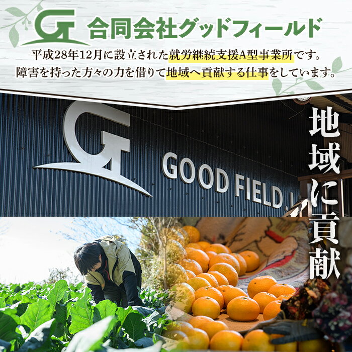 【ふるさと納税】訳あり！鹿児島県産さつまいも｢紅はるか｣(計10kg) 大容量 国産 熟成 詰め合わせ 野菜 さつま芋 焼芋 鹿児島産 大小混合 期間限定 常温保存【合同会社グッドフィールド】akn056-08 サムネイル3