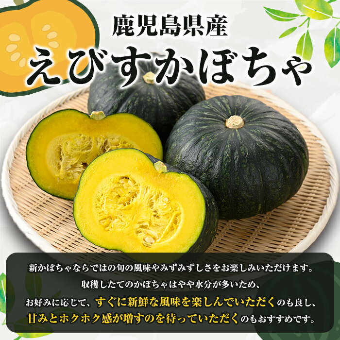 【ふるさと納税】＜先行予約受付中！2026年5月上旬以降順次発送予定＞＜内容量が選べる！＞鹿児島県産 えびすかぼちゃ(約5〜10kg) 国産 野菜 かぼちゃ カボチャ 南瓜 煮物 天ぷら バーベキュー BBQ スイーツ お菓子 期間限定【松永青果】 - 画像2