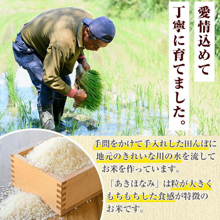 【ふるさと納税】お米食べ比べセット(あきほなみ・ひのひかり：各5kg) 国産 白米 自社精米 ご飯 おこめ おにぎり お弁当 あきほなみ ひのひかり【谷口ファーム】akn064-10 - 画像3