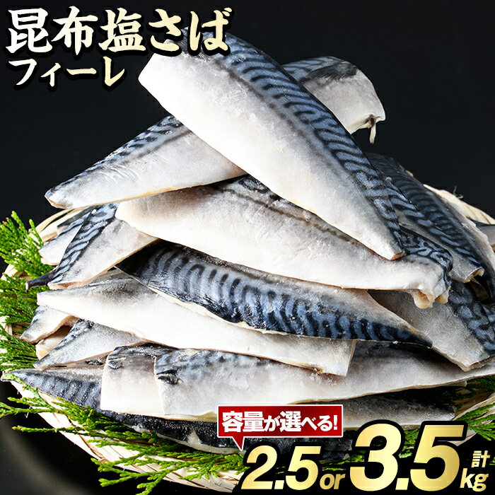 ＼高評価★4.74獲得！／＜内容量が選べる！＞訳あり！昆布塩さばフィーレ(A品B品混合2.5kg or B品のみ3.5kg) 大容量 ボリューム サバ 鯖 おかず おつまみ 惣菜 焼き魚 切り身 昆布 ご家庭用 リピート【グローバルフーズ】