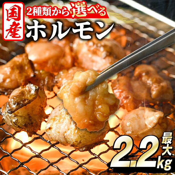 ＼テレビで紹介されました！高評価★4.90獲得！／＜選べる2種＞ホルモン(牛×豚ホルモン4種 合計2.2kg/牛ホルモン2種 合計2kg) 大容量 国産 小腸 味付 パック 詰め合わせ 鍋 モツ おかず 小分け 個包装 焼肉【スターゼン】