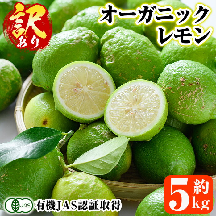 数量限定！有機JAS 訳ありオーガニックレモン(約5kg) 国産 訳あり レモン 檸檬 果実 果物 フルーツ 柑橘 デザート 期間限定 有機栽培 健康志向【中村農場】akn084-02