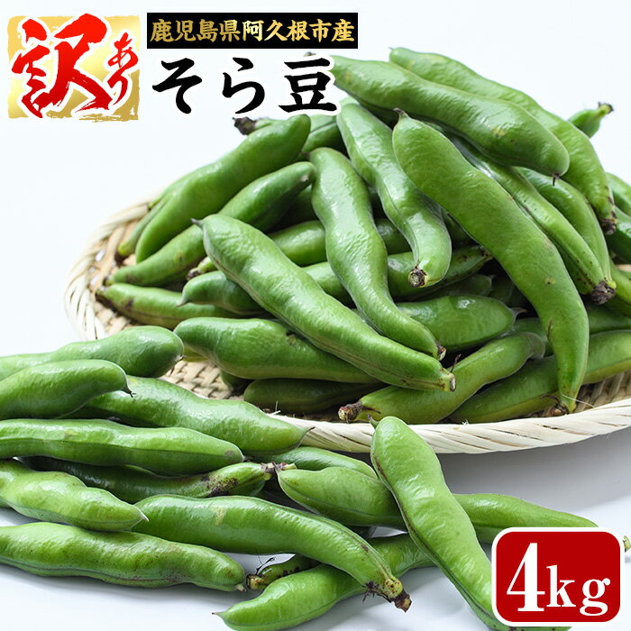 訳あり！鹿児島県阿久根市産そら豆(4kg) 野菜 旬 春野菜 訳アリ 国産 鹿児島県産 阿久根市産 そら豆 ソラマメ おつまみ【黒坂青果】akn049-03