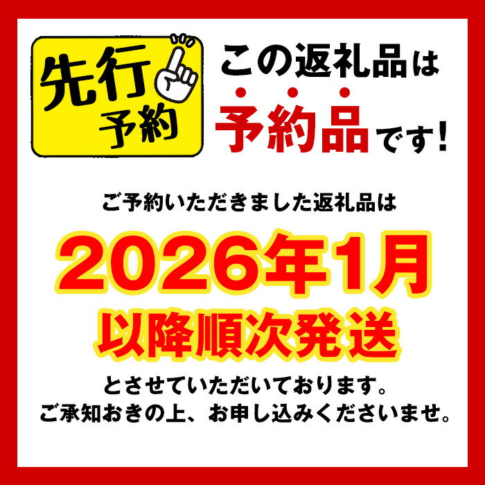 【ふるさと納税】《2026年1月下旬以降順次発送予定》＜訳あり＞九州産たけのこ水煮(200g×8P・計1.6kg) たけのこ 筍 タケノコ 水煮 国産 訳アリ 訳あり 常温保存 常温 料理 煮物 炊き込みご飯 おでん 料理 お手軽 予約 先行予約 【マツバラ】 - 画像2